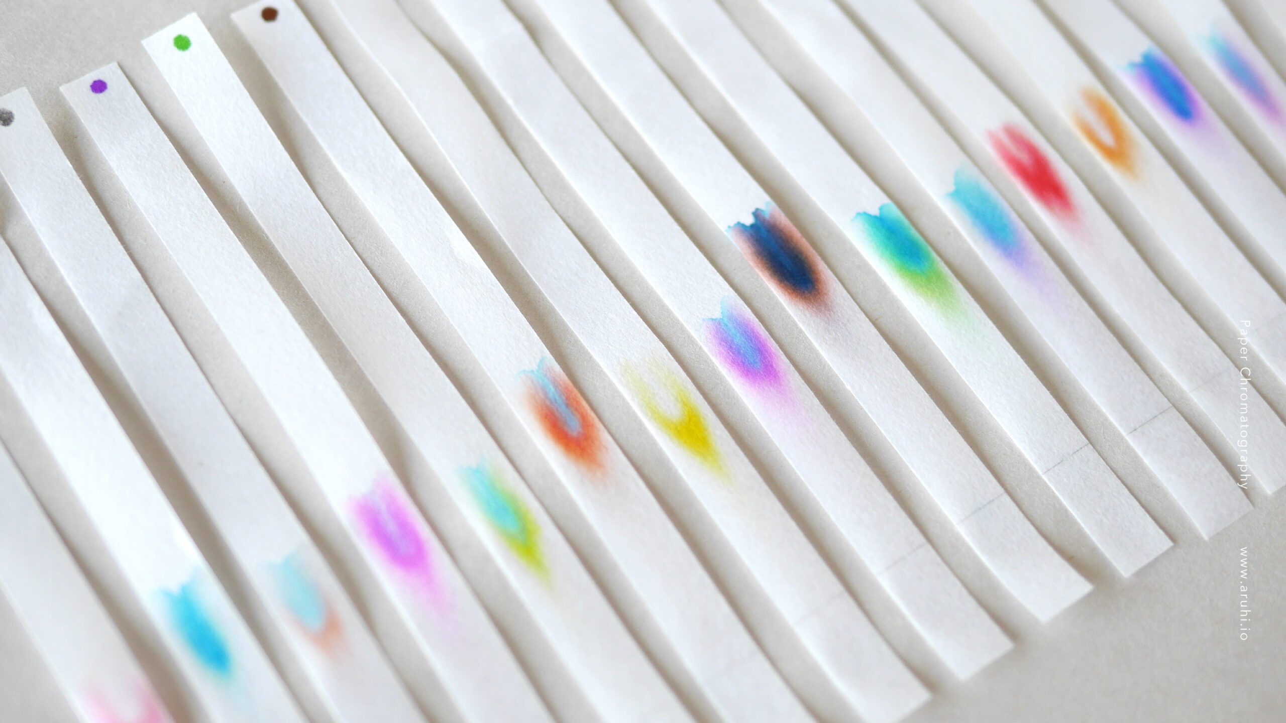 Chromatography Paper Strips