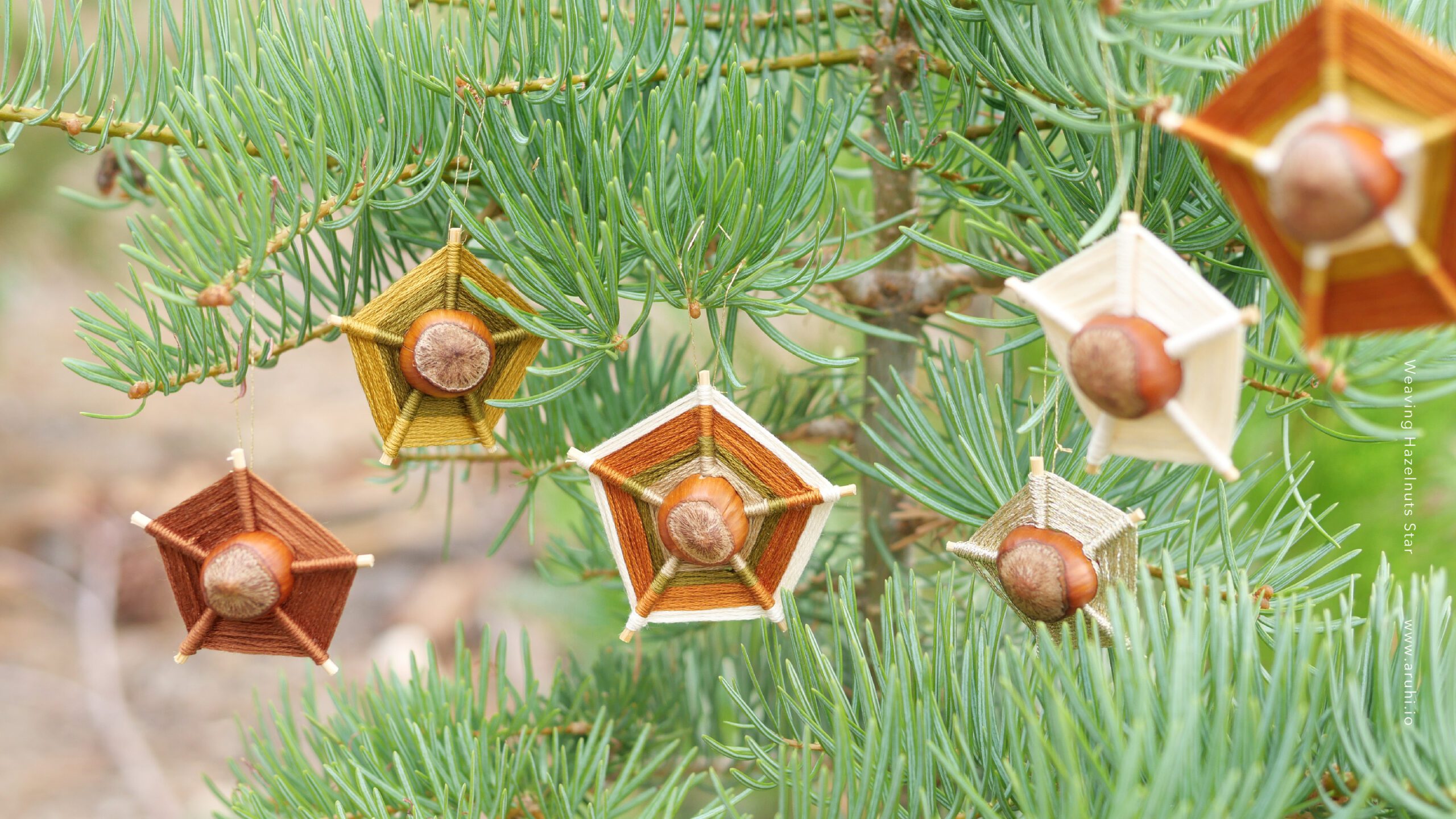 Project Hazelnut Weaving Hazelnuts Star - Aruhi